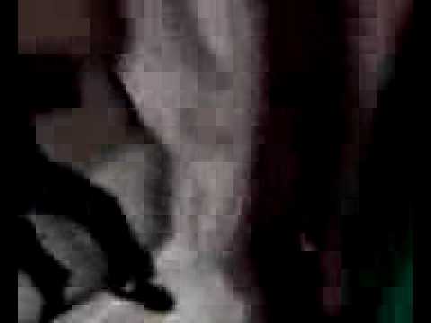 stupid monkey productions from eprep