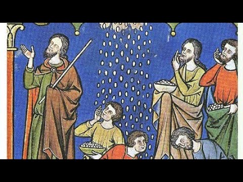 Conoscerete la Verità GV 8,31-42 (1 aprile 2020)