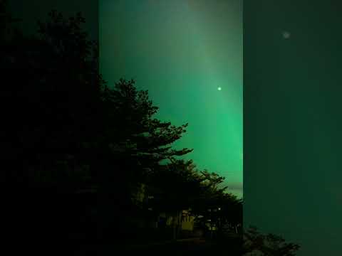 Simple Song - Sidney Mohede (IMKATO'S cover) this dawn 04.00 am