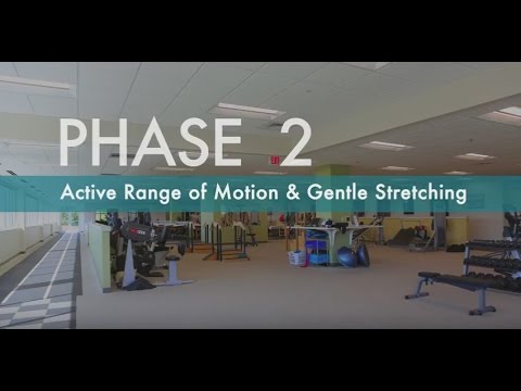 Rotator Cuff Exercises for Pain Relief | How to Strengthen Rotator Cuff | Phase 2