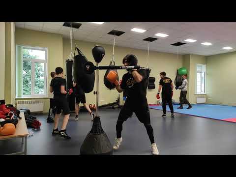 TITLE Rapid-Reflex Boxing Bar Tri-Bag Sparbar