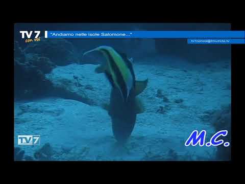 Tv7 con Voi del 20/6/2019 - Andiamo nelle isole Salomone (2 di 3)
