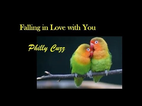 Philly Cuzz - Falling In Love With You