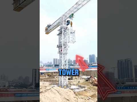 How do massive tower cranes on construction sites get taller?