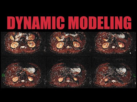 FireVoxel Tutorial 9: Introduction to Dynamic Modeling