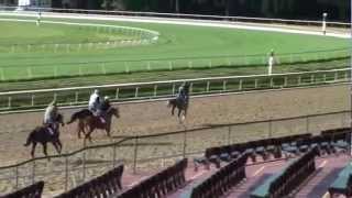 Winslow Homer - Workout - 9-19-2011