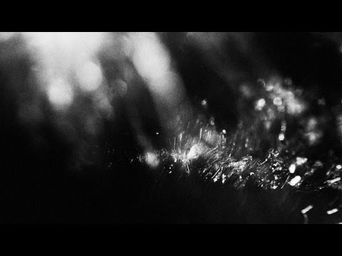 Video thumbnail for Bold