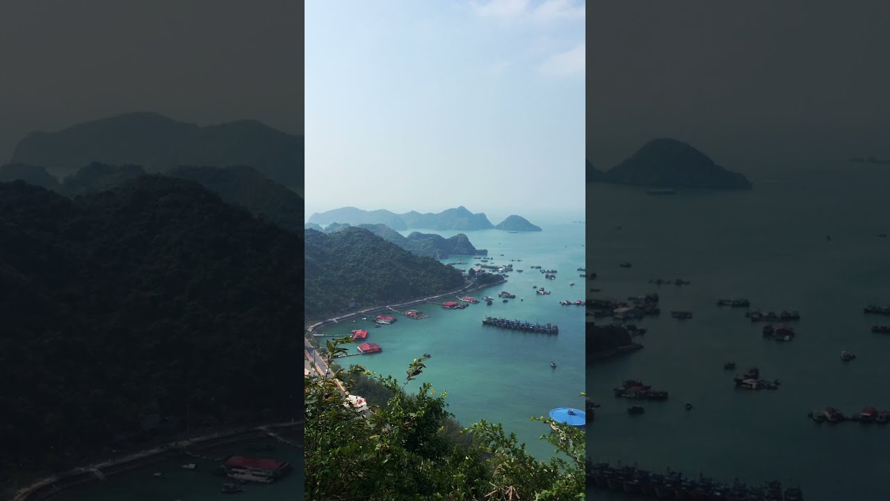 YouTube Short thumbnail