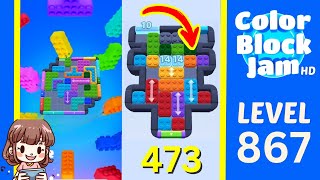 Color Block Jam 第 867 关攻略