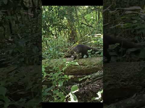 Puntarenas, La PERLA Del Pacífico | Costa Rica 🇨🇷