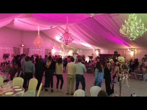 DANIELA GYORFI Live la restaurant NOBILE'S Madrid