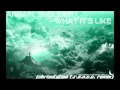 Sneijder - What It's Like (ChrisStation TRANCE ...