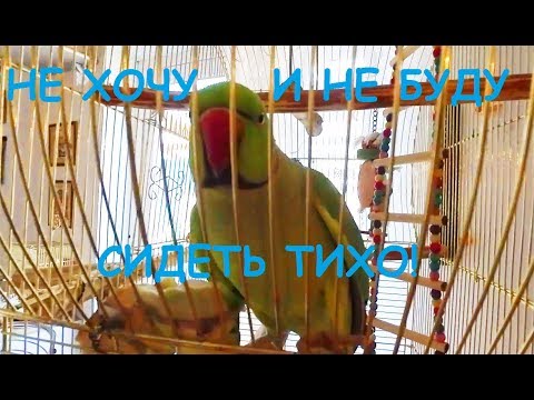 VLOG: КУДА Я ТАКОЙ ДЕЛОВОЙ? 30.10.19