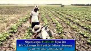 Download lagu Jaluk Ampura youtube original mp3