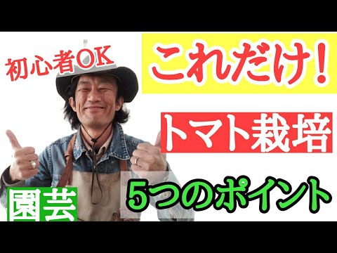 ステークス-トマト-上げられた-パルテール-トレリス-木製-プラスチック