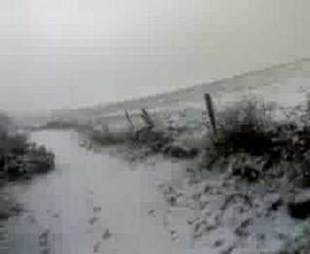 Wicker Man in the Snow