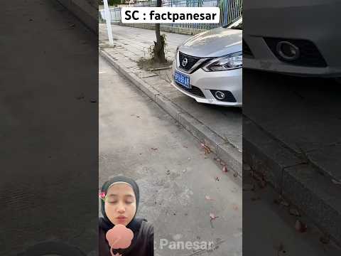MOBIL ini hampir saja RUSAK #shorts factpanesar