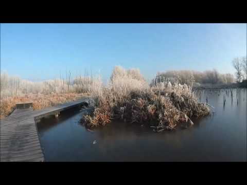 Verdronken bos 30 dec 2016 Schalkwijk