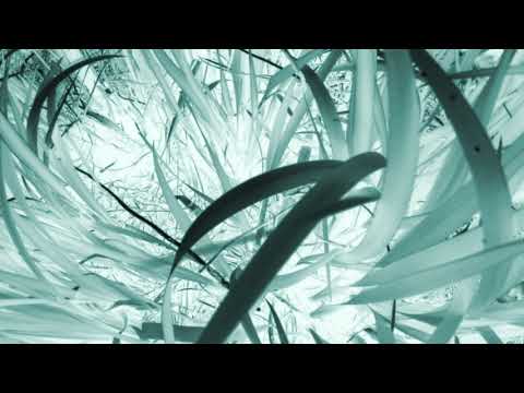 Nothing To Sniff - Fallin' Up Downtempo