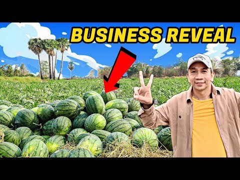 ITO ANG ISA MGA BUSINESS NI DADDY FRANKIE.