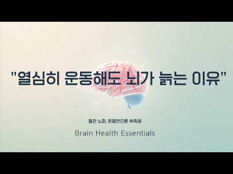 여름 다이어트 워크샵 영상