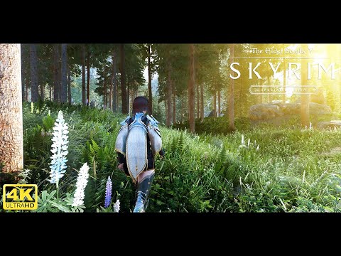🔥 Skyrim Special Edition Ultra Modded 4K 2021 : Best Graphics !! w/Modlist !! 🔥