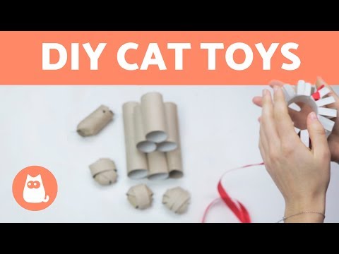 4 DIY Cat Toys Made with Toilet Rolls