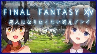 MMOは用法用量を守って初見プレイ【FF14】
