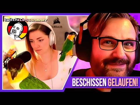 Da ging einfach alles schief! - Gronkh Reaction