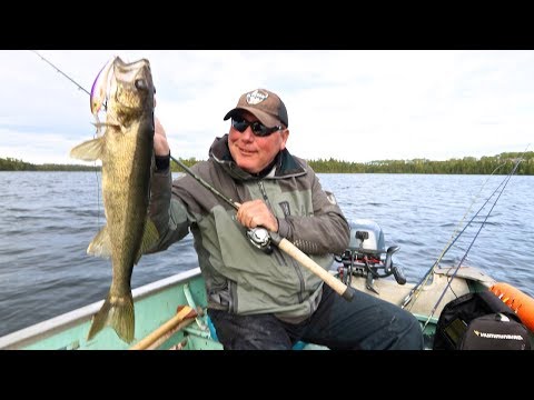 September Crankbait Walleyes North Of Nakina