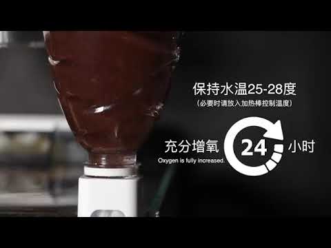 How to Brine Shrimp hatchery