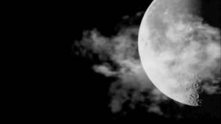 If I Could Write A Song || Abandon || Lyrics