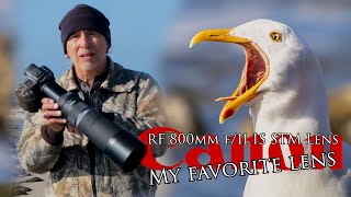 Malibu Lagoon with my favorite Canon RF 800mm f/11 IS STM Lens - 1st time since the fires!