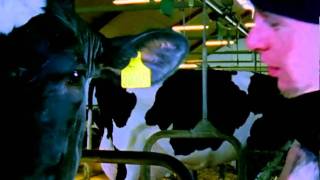 L.O.C. - Pop Det Du Har