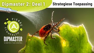 Dipmaster 2: (Deel 1) Strategiese Toepassing
