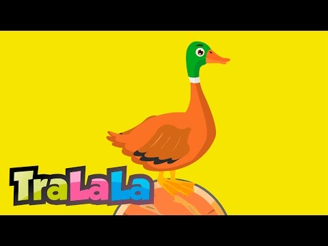 Șade rața pe butoi - Cântece pentru copii | TraLaLa