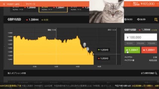 【FX】2万円負けたのでデモで練習して取り返す【BO】