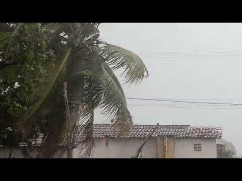 # chuva no sítio Fernandes Município de Serra Caiada Rio Grande do Norte