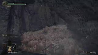 【ELDEN RING/エルデンリング】#35 ランドマーク巡り【実況】