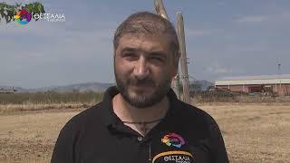 ΝΕΑ ΚΡΟΥΣΜΑΤΑ ΕΥΛΟΓΙΑΣ ΤΩΝ ΠΡΟΒΑΤΩΝ ΣΕ ΛΑΡΙΣΑ, ΤΣΑΡΙΤΣΑΝΗ ΚΑΙ ΦΑΛΑΝΗ 18 08 2025