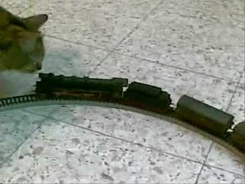 Steam sound effects in a pure analog Märklin system - BR 03 mit ein Wagen mit Geräuschmodul