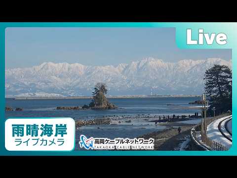 雨晴海岸のライブカメラ映像