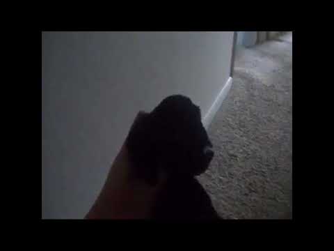 Kionzan Part 10 - Outcast