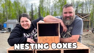 Alaska Life - Winter Garden Survivors, Nesting Boxes, Awesome Chicken Salad