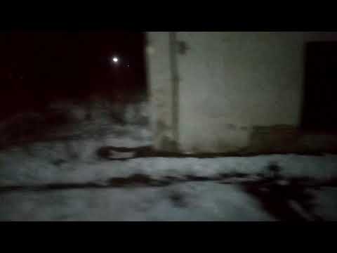 Sosire în Stația Dornesti cu Trenul R5627 Suceava-Putna 21.02.2021