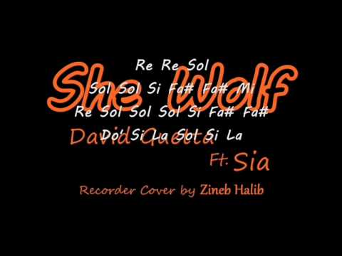 She Wolf-Recorder Notes | David Guetta ft. Sia