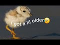 I Got A Lil Older And My Heart Got Colder