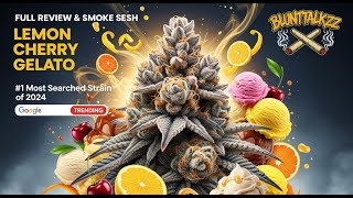 Google’s #1 Cannabis Strain in 2025 Lemon Cherry Gelato Review