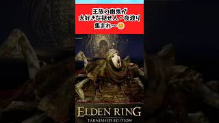【ELDEN RING】王族の幽鬼が大好きな人達で語ろうとした結果に関するみんなの反応集 #shorts