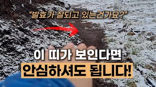 토양발효제 발효가 잘 진행되면 벌어지는 현상 #에너지농법 #탄소농업 #유기농업